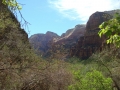 22avr_14.18 - Zion National Park.jpg